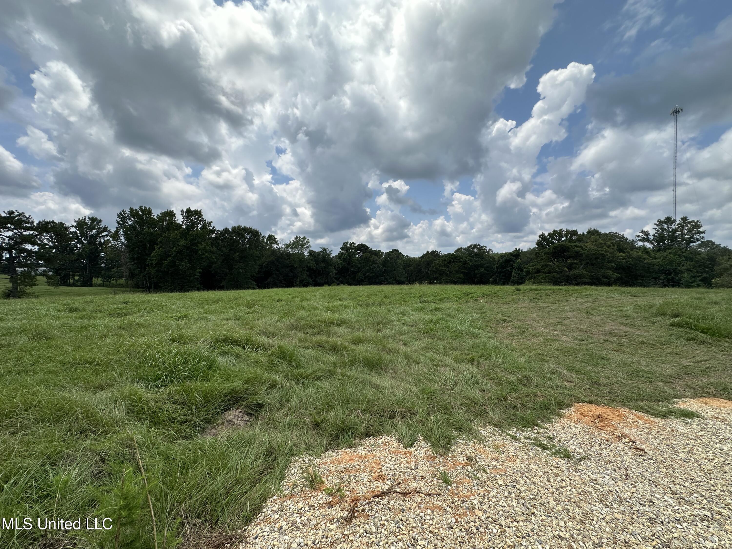 0 Slade Woodward Road Poplarville, MS 39470 - Photo 13 of 33 IMG_2501