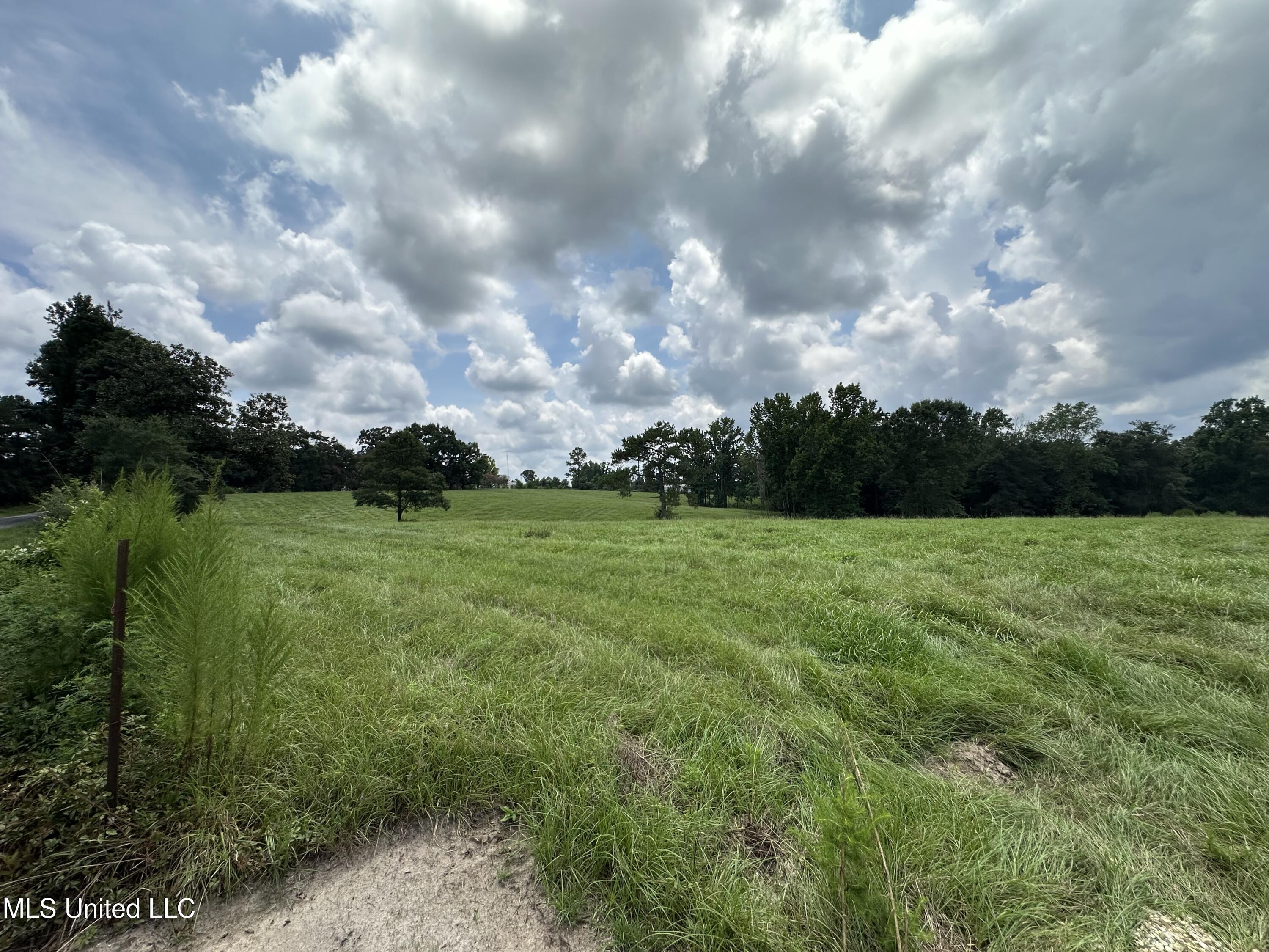 0 Slade Woodward Road Poplarville, MS 39470 - Photo 14 of 33 IMG_2502