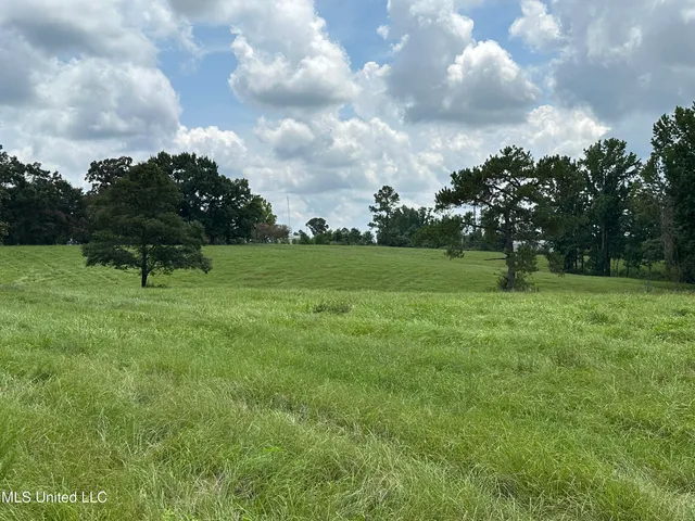 $254,900 | 0 Slade Woodward Road, Poplarville, MS 39470