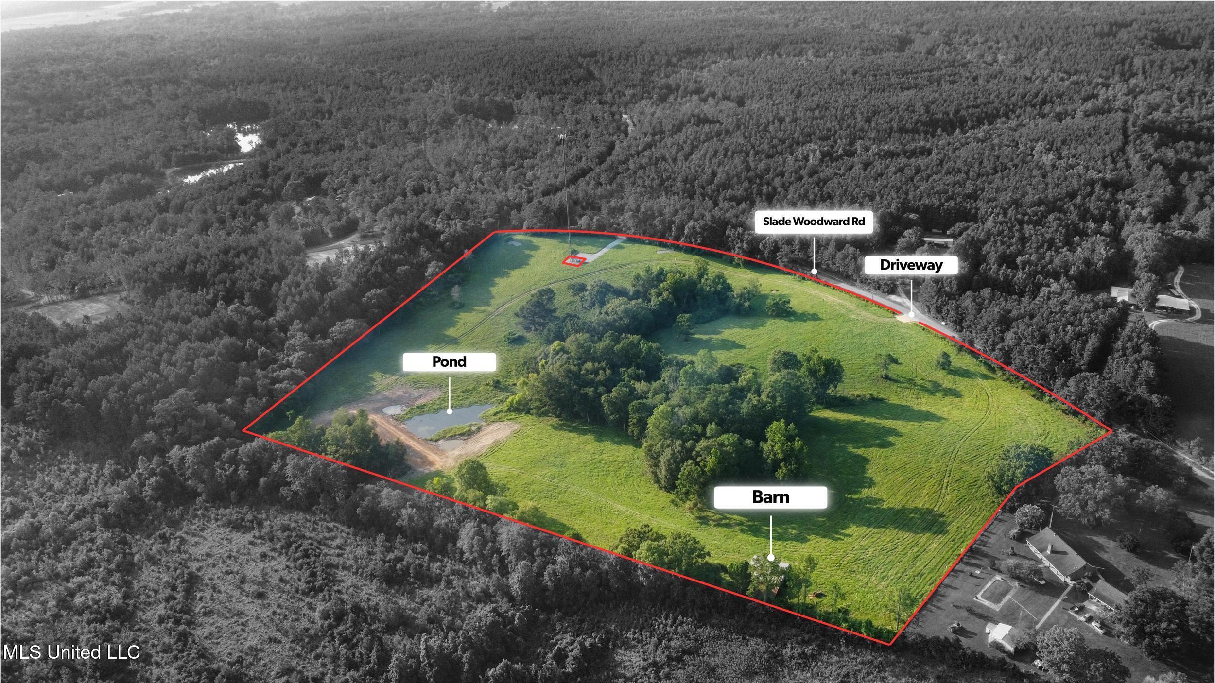 0 Slade Woodward Road Poplarville, MS 39470 - Photo 22 of 33 5_3.boundaries.b&w.lables.png