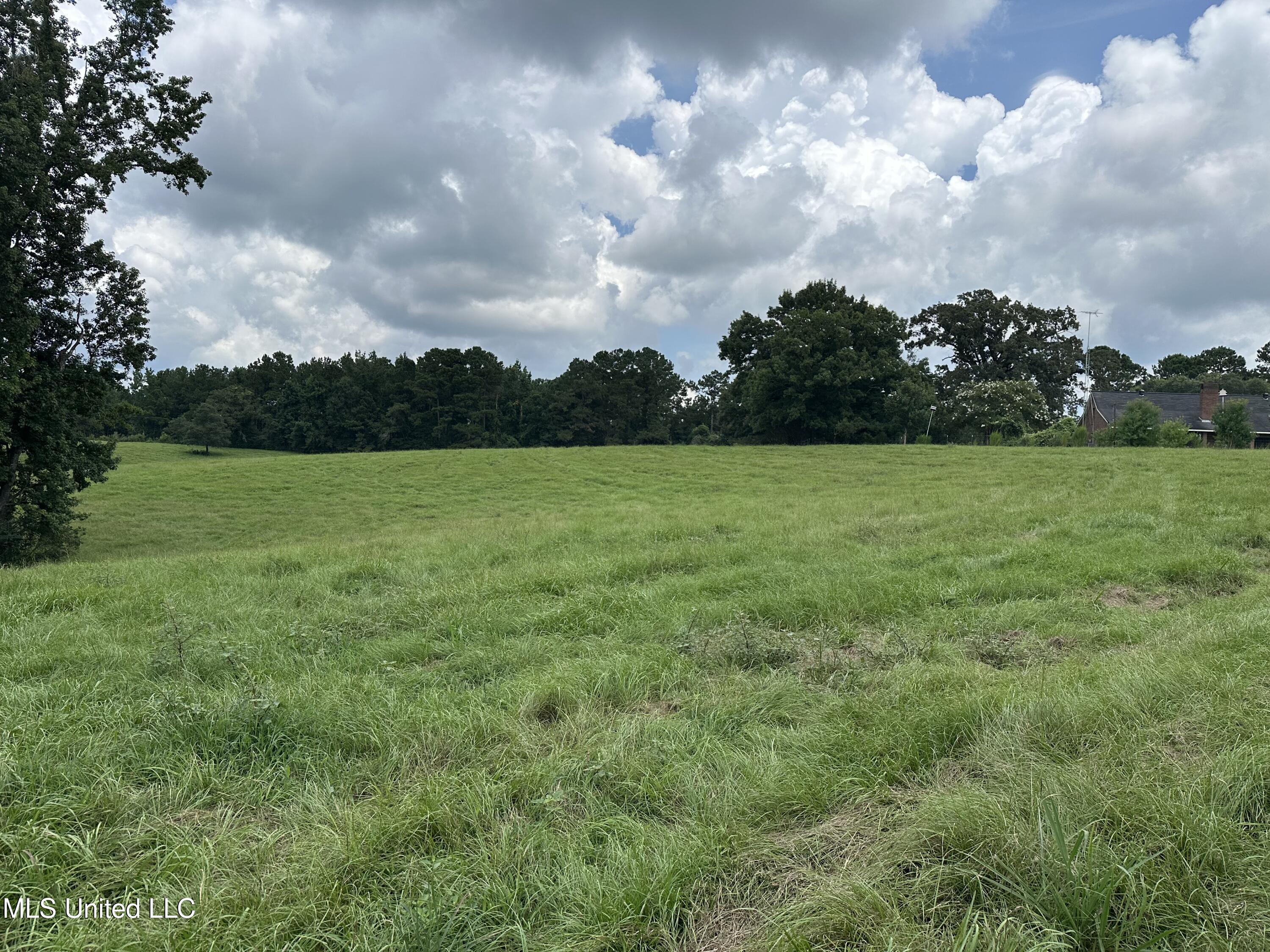 0 Slade Woodward Road Poplarville, MS 39470 - Photo 3 of 33 IMG_2489