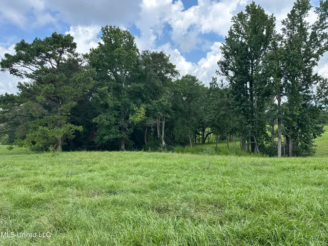 $254,900 | 0 Slade Woodward Road, Poplarville, MS 39470