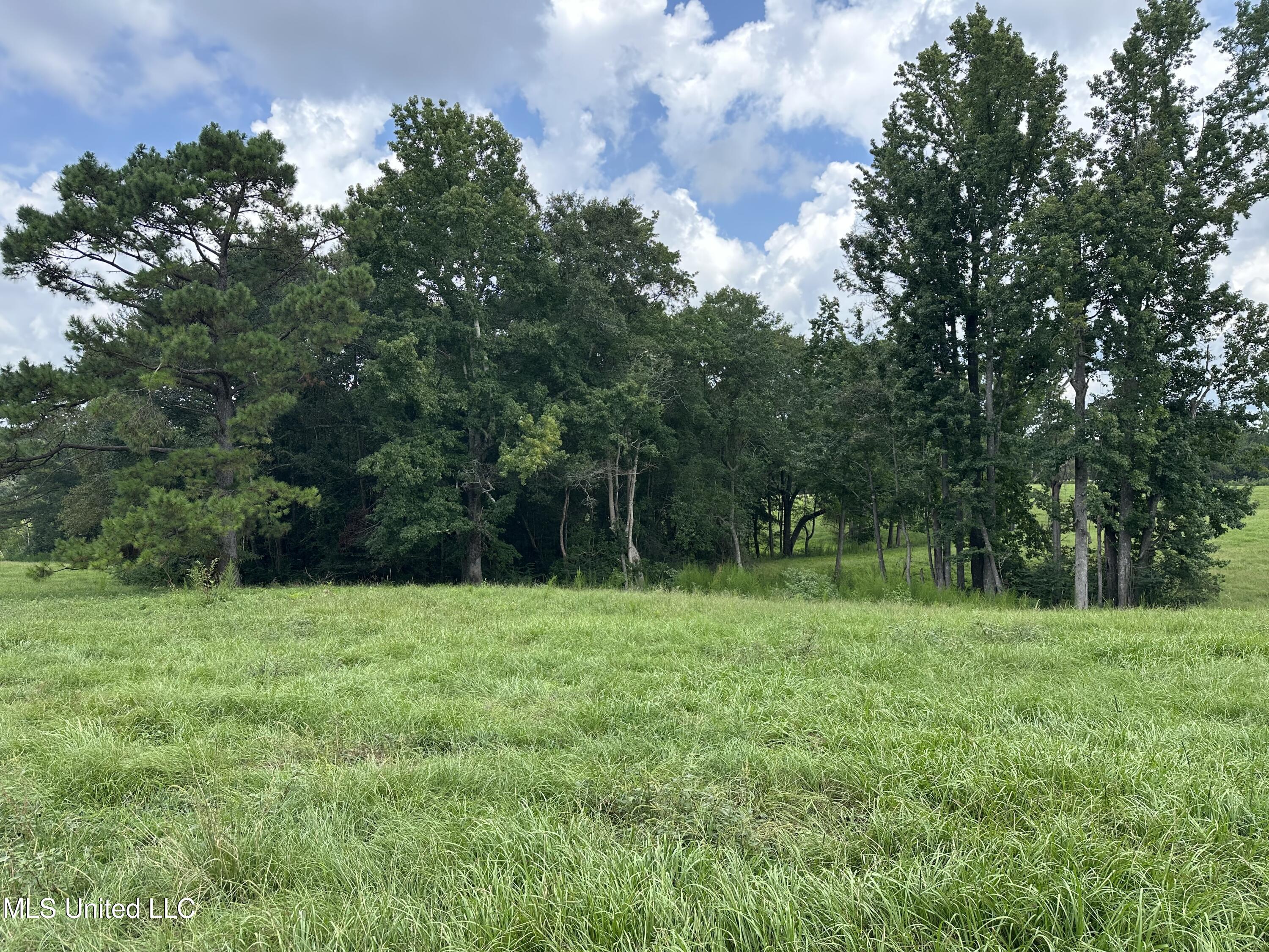 0 Slade Woodward Road Poplarville, MS 39470 - Photo 4 of 33 IMG_2490