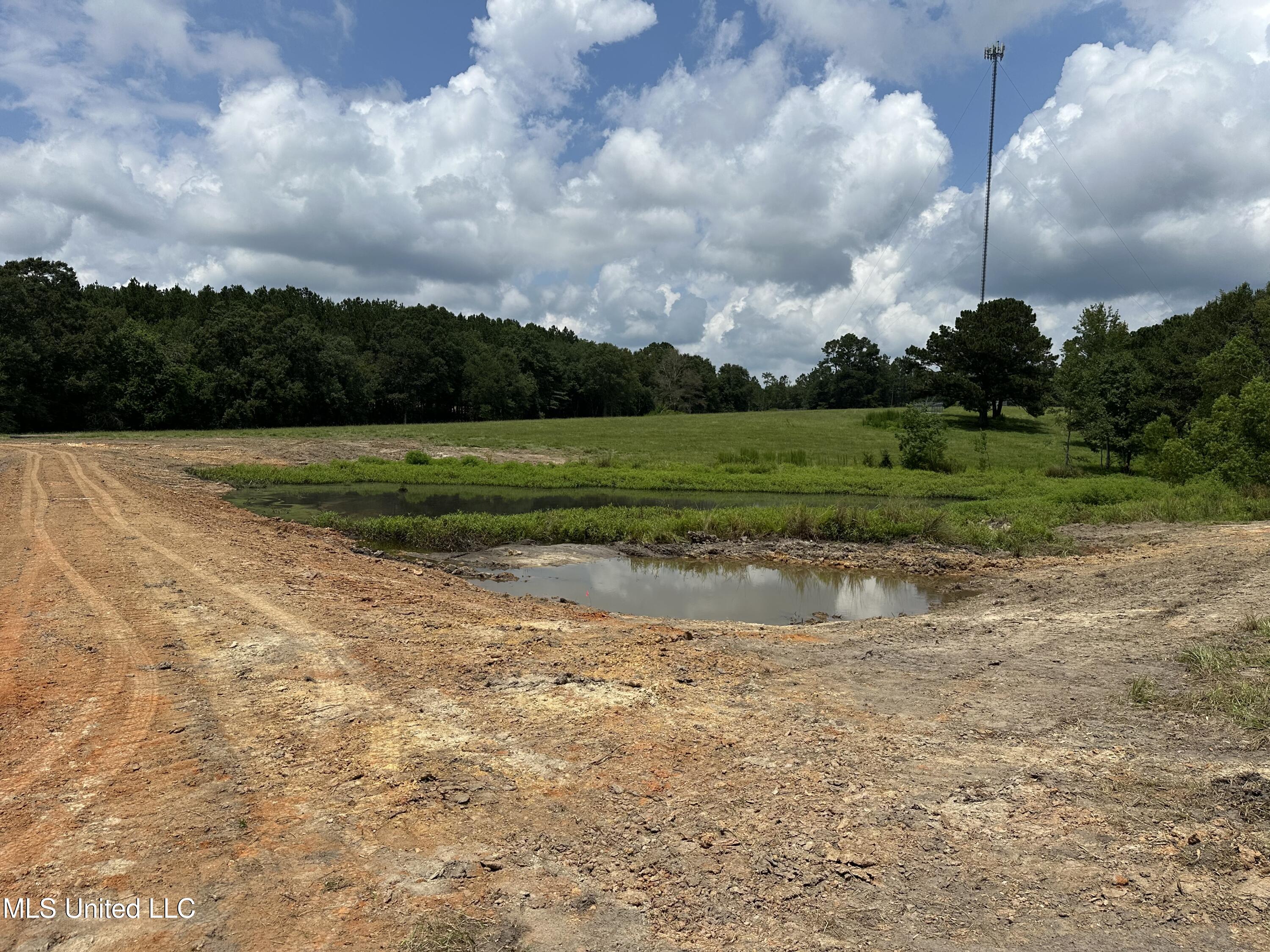 0 Slade Woodward Road Poplarville, MS 39470 - Photo 6 of 33 IMG_2492