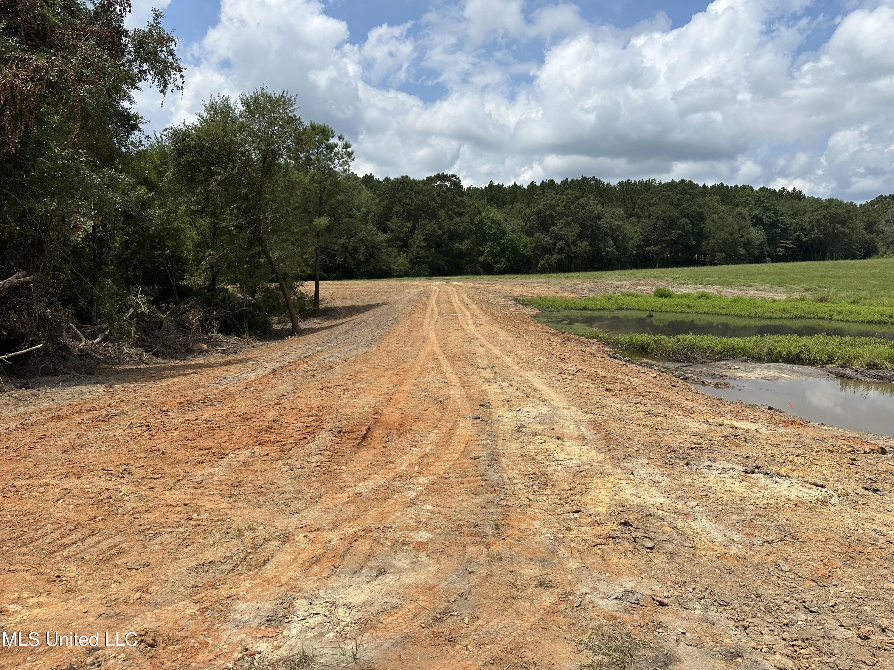 0 Slade Woodward Road Poplarville, MS 39470 - Photo 8 of 33 IMG_2494