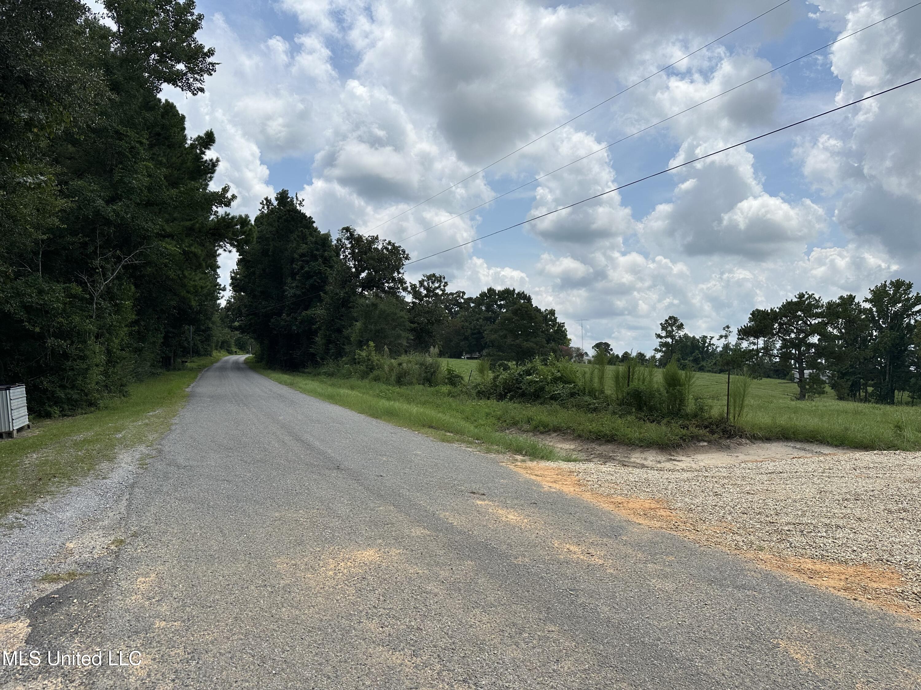 0 Slade Woodward Road Poplarville, MS 39470 - Photo 9 of 33 IMG_2495