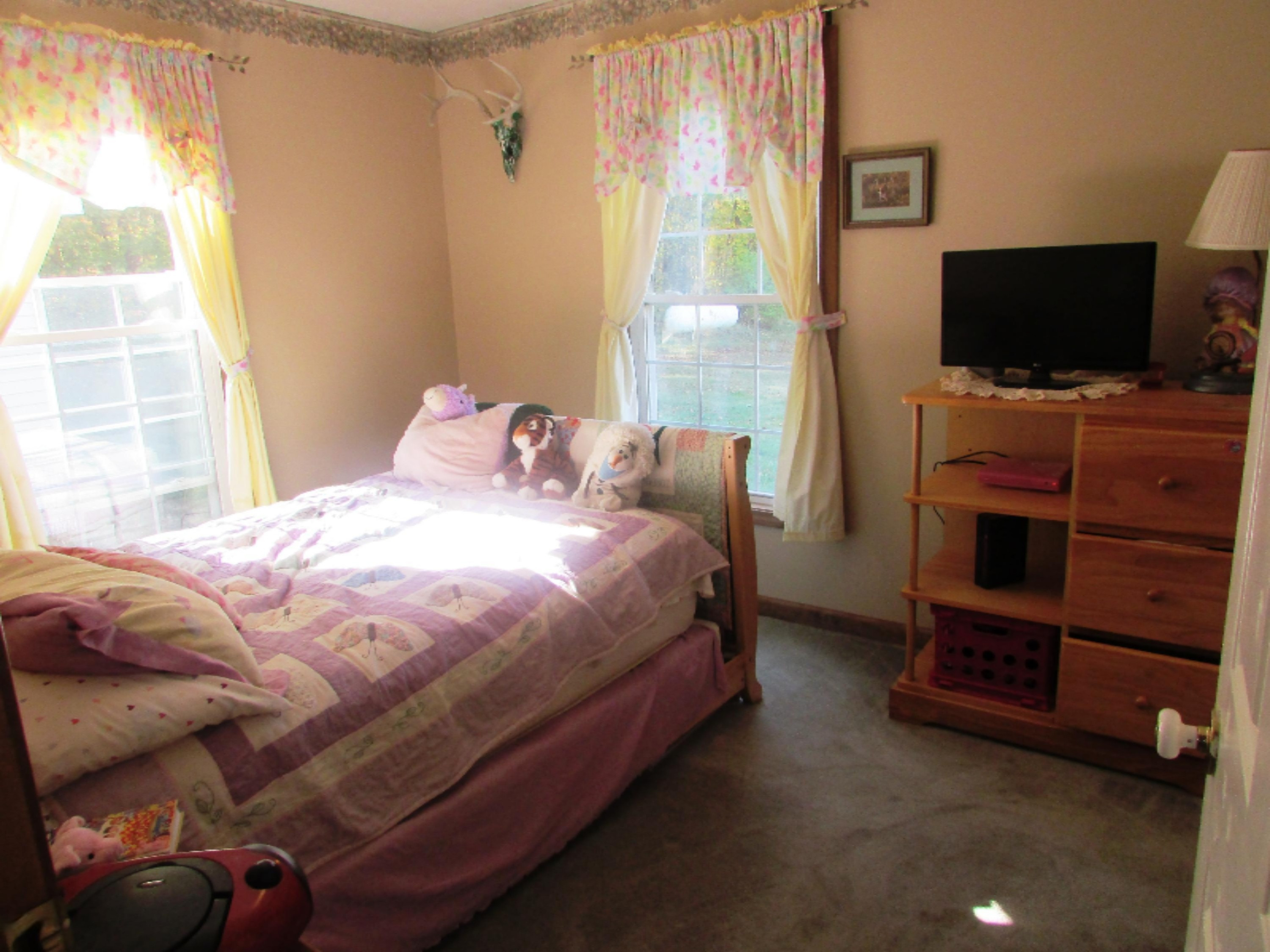 5628 Hill Road Bellevue, MI 49021 - Photo 10 of 22 IMG_0295
