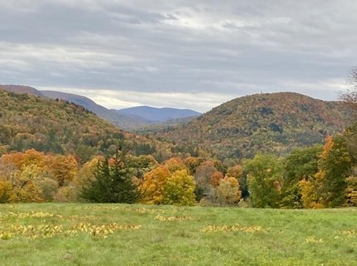 0 Spruce Knob Road, Unit LOT 2 Middletown Springs, VT 05757 - Photo 1 of 7