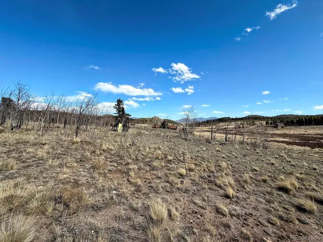 a view of a yard with an empty space and a mountain view in back