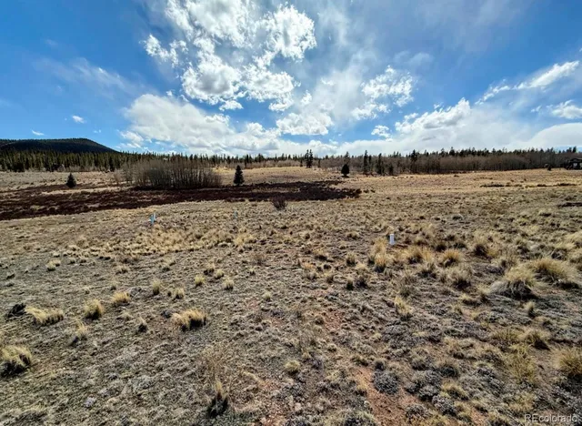 a view of a yard with a yard