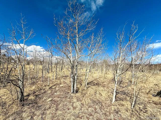 a view of a yard with snow on the background