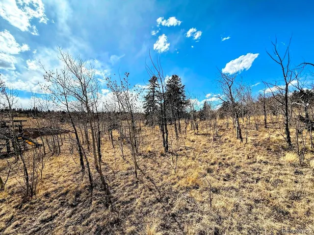 a view of a backyard of the house