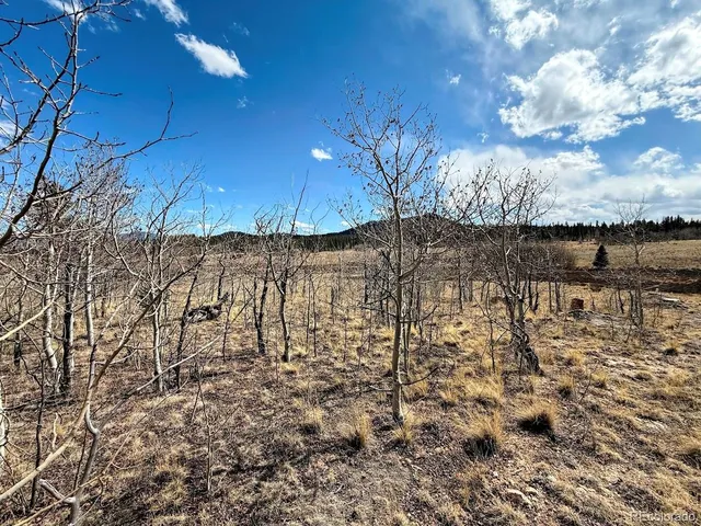 a view of a yard with wooden fence