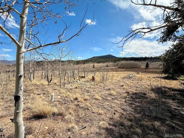 a view of a wooden floor with a yard