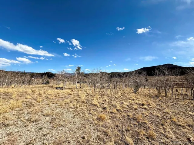 a view of a terrace yard
