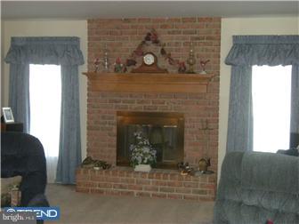 2922 Reedy Road Sinking Spring, PA 19608 - Photo 3 of 12 Fireplace