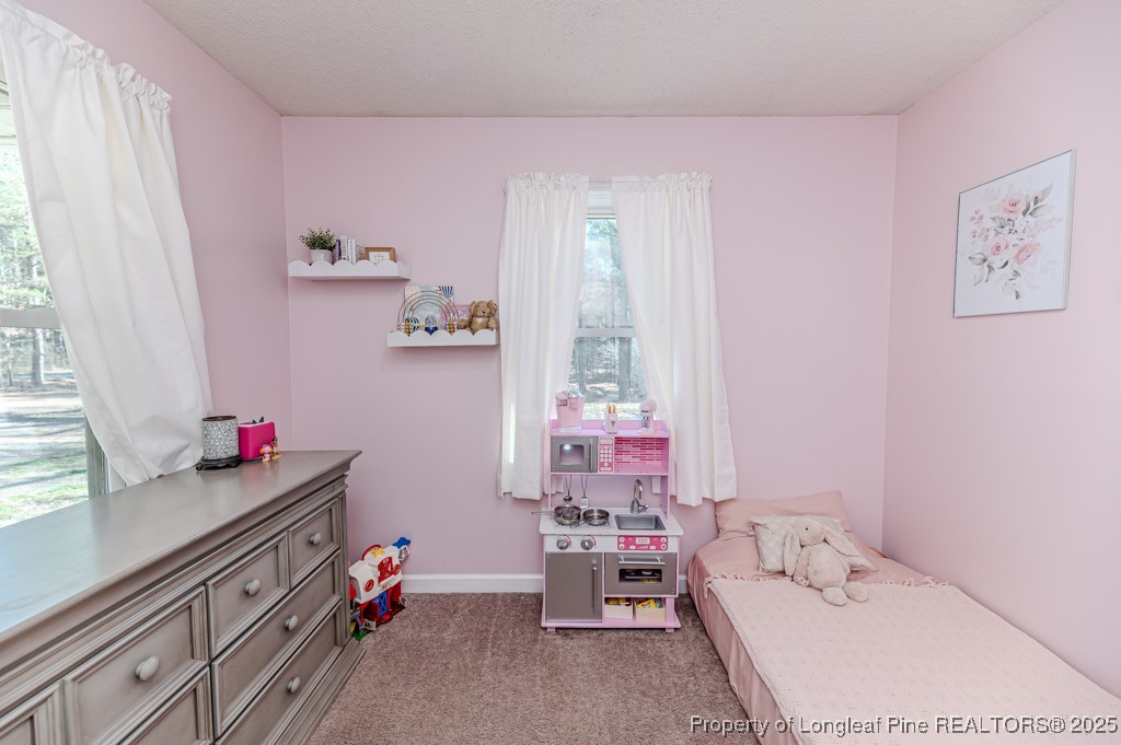 476 Riddle Road Sanford, NC 27330 - Photo 19 of 34 a bedroom with a bed and a window
