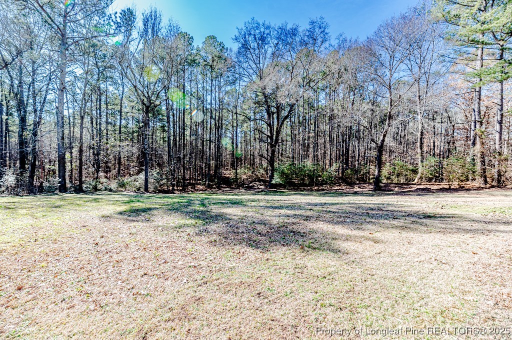 476 Riddle Road Sanford, NC 27330 - Photo 26 of 34 a view of road with trees