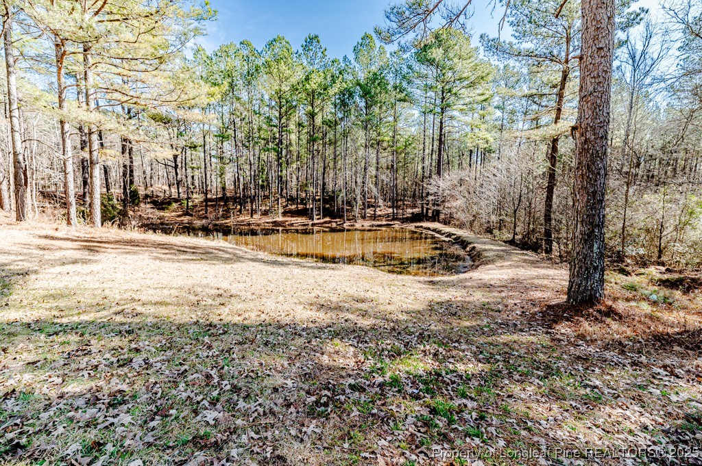 476 Riddle Road Sanford, NC 27330 - Photo 27 of 34 a view of swimming pool with outdoor seating and trees