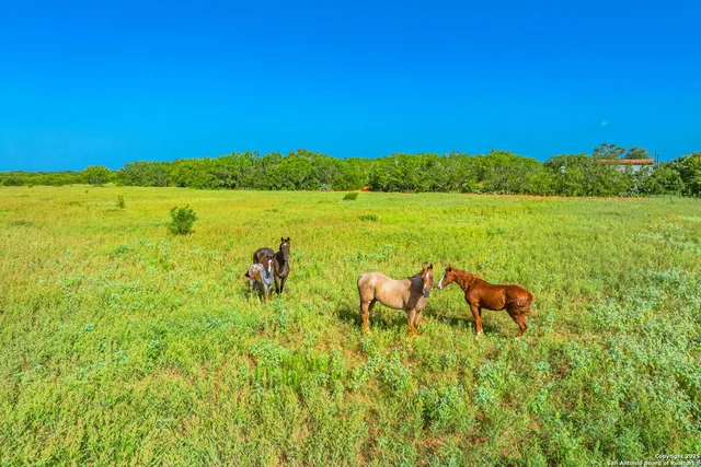 $1,154,055 | 3911 County Road 1000, Pearsall, TX 78061