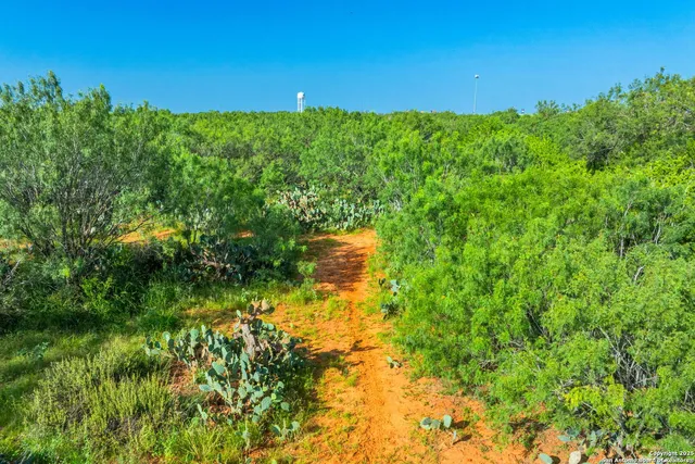 $1,154,055 | 3911 County Road 1000, Pearsall, TX 78061