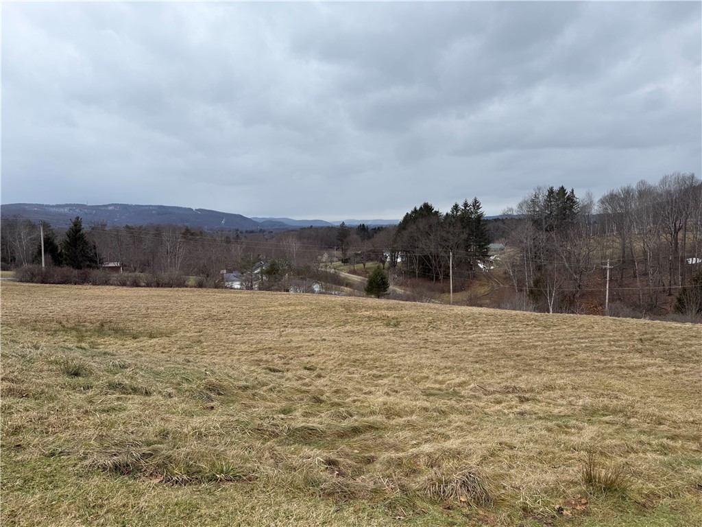 1025 Promised Land Road Portville, NY 14760 - Photo 6 of 13