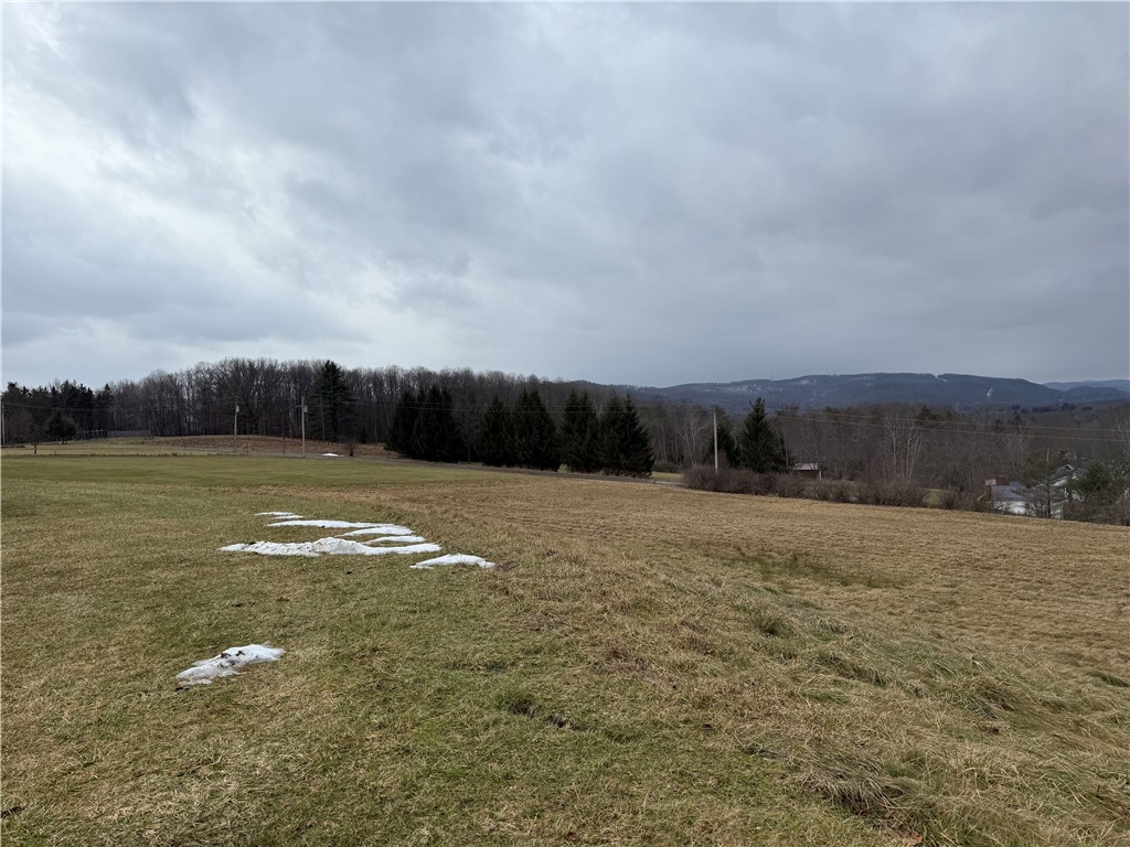 1025 Promised Land Road Portville, NY 14760 - Photo 7 of 13