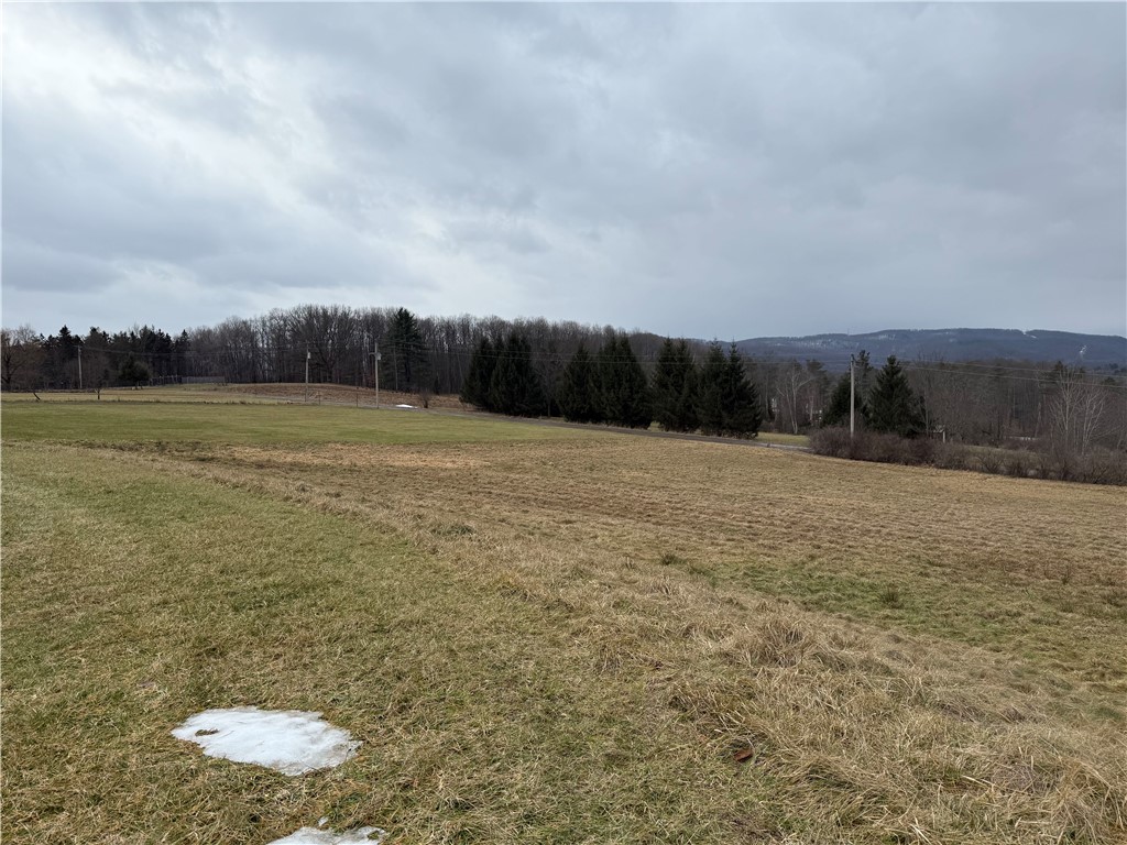 1025 Promised Land Road Portville, NY 14760 - Photo 8 of 13