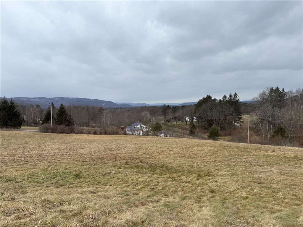 1025 Promised Land Road Portville, NY 14760 - Photo 9 of 13