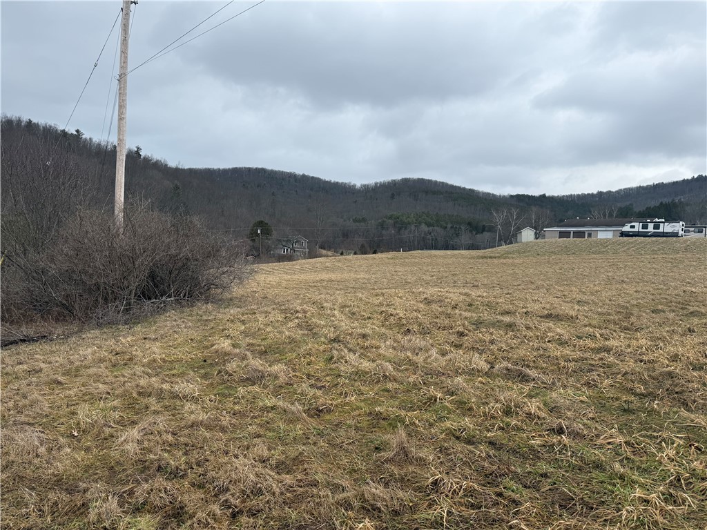 1025 Promised Land Road Portville, NY 14760 - Photo 10 of 13