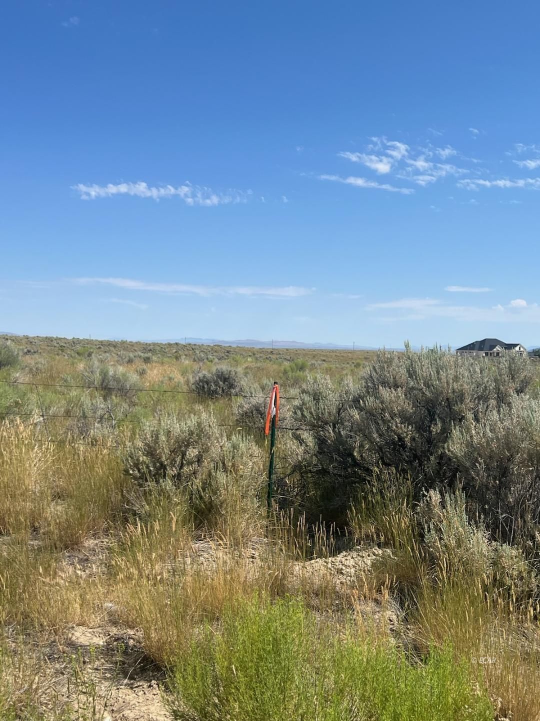 12 Hog Tommy Road Lamoille, NV 89828 - Photo 1 of 8