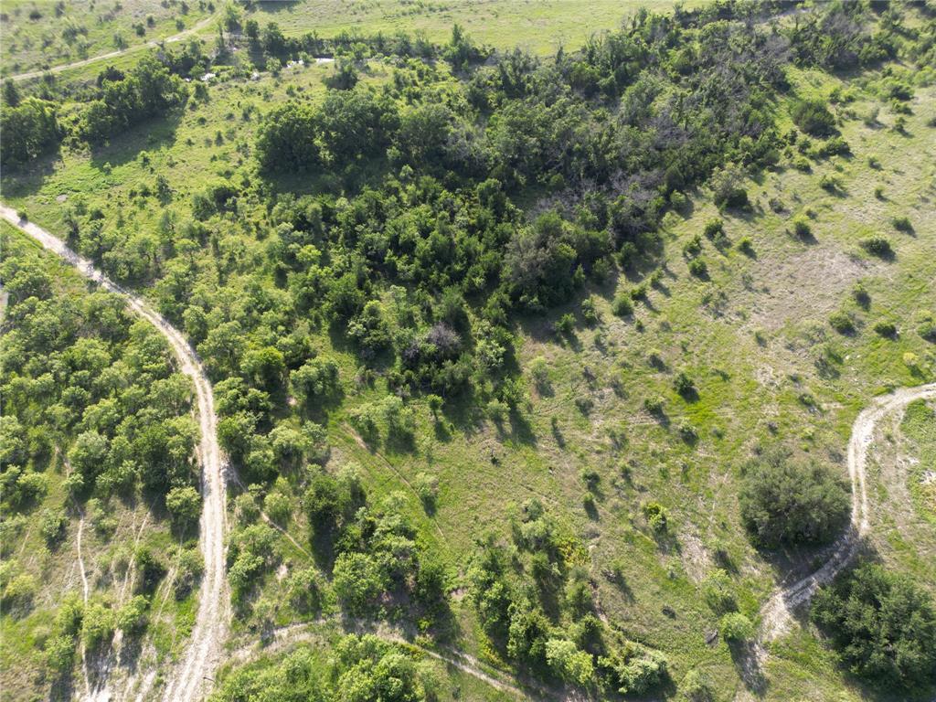 2486 & Cr Hamilton, TX 76531 - Photo 29 of 31 a view of a bunch of trees and bushes
