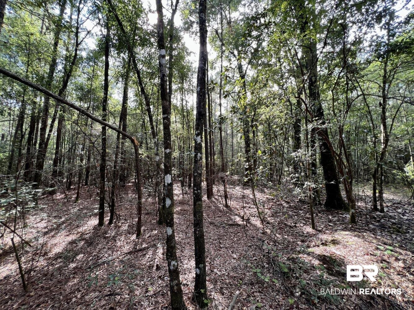 0 Bear Fork Road Mobile, AL 36618 - Photo 27 of 50