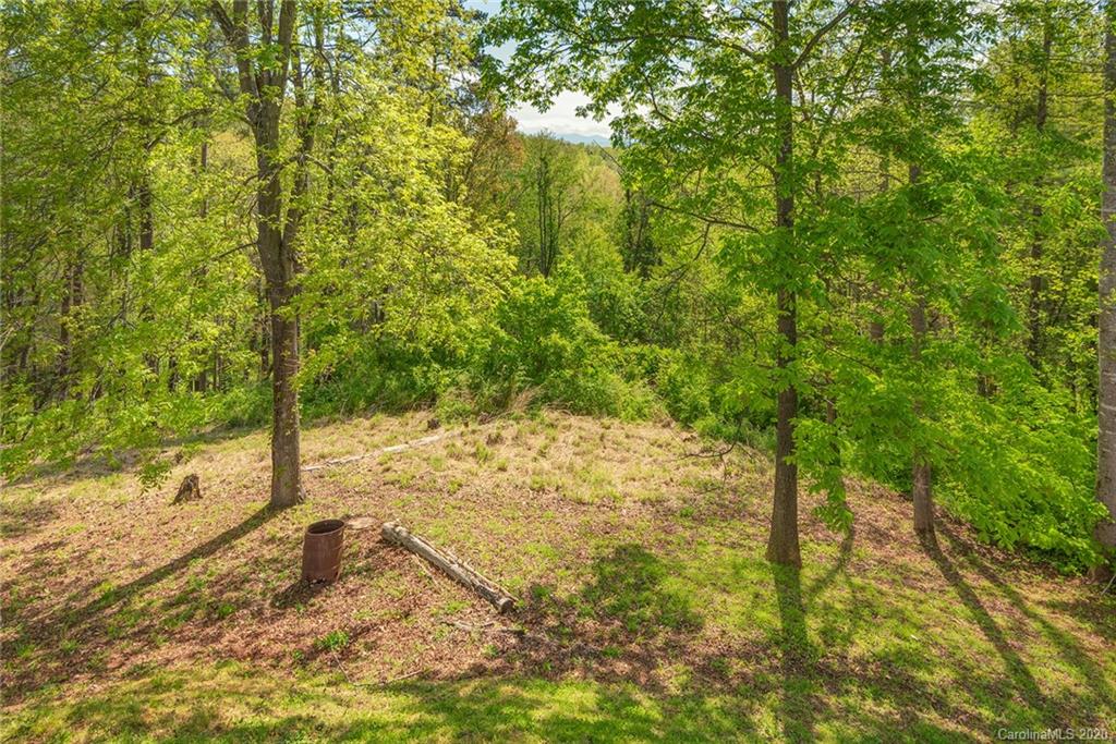 207 Martin Branch Road Leicester, NC 28748 - Photo 34 of 35 Gallery Image 34
