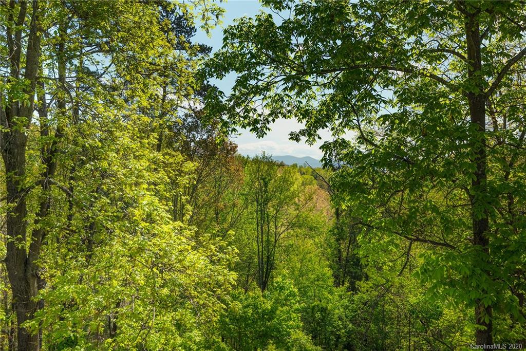 207 Martin Branch Road Leicester, NC 28748 - Photo 35 of 35 Gallery Image 35