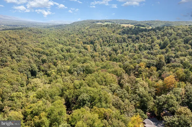 a view of an ocean beach