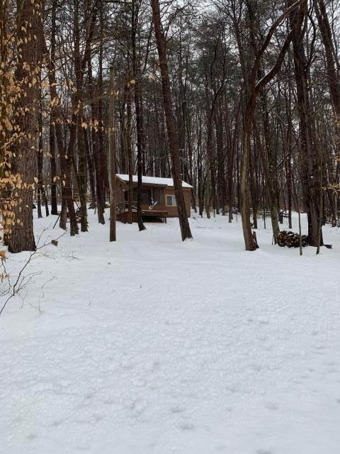 14218 Little Cola Road Rockbridge, OH 43149 - Photo 20 of 31 Snowy_Cabin