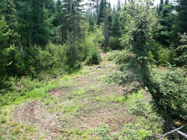 On Foster Lane Rhinelander, WI 54501 - Photo 5 of 10 Gallery Image 5