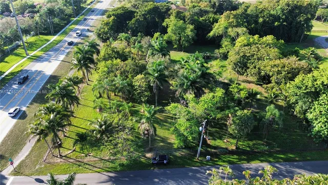 a view of a yard with plants