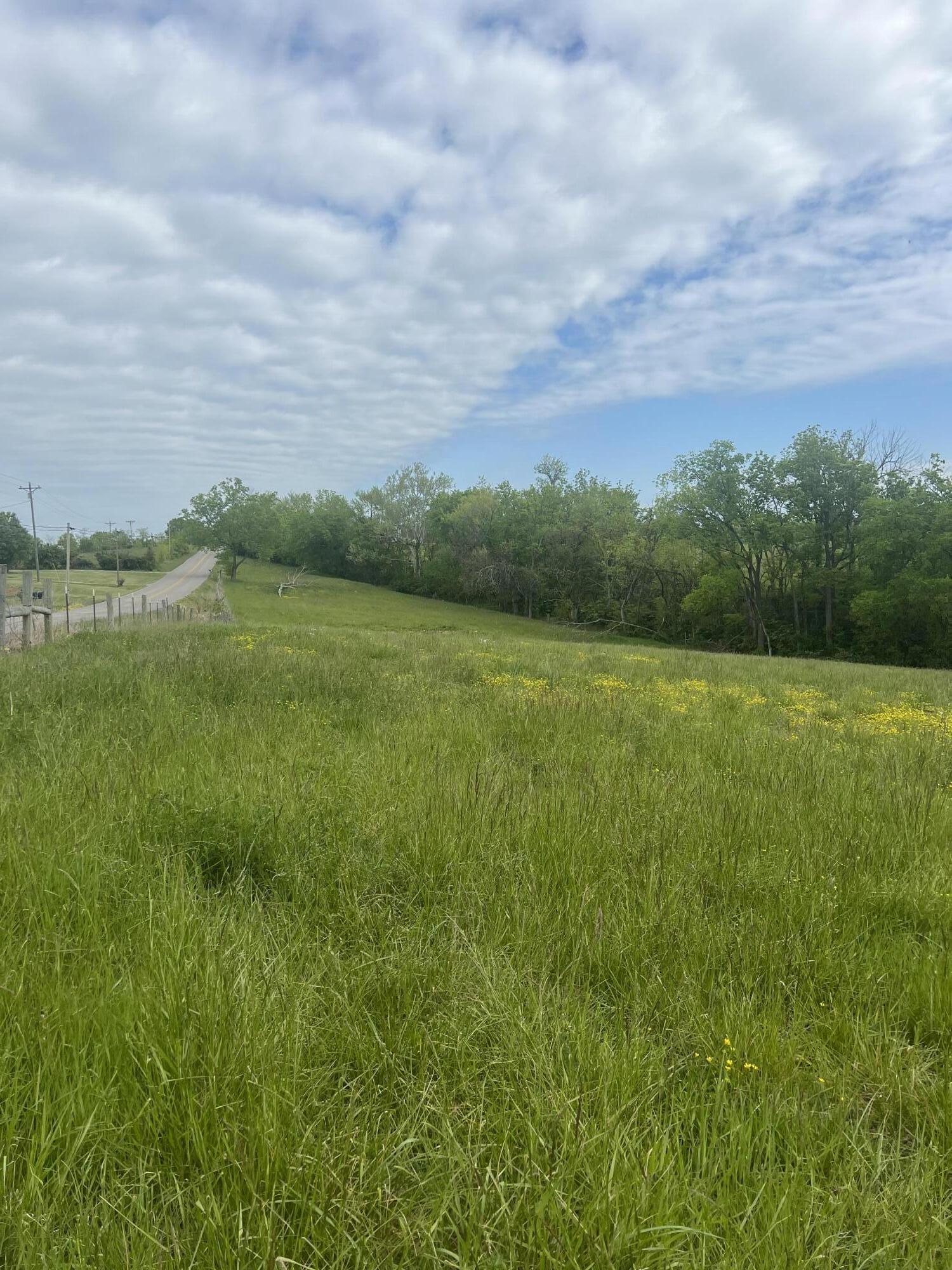 1-acre Lot Nina Ridge Road Lancaster, KY 40444 - Photo 1 of 4 lot nina ridge