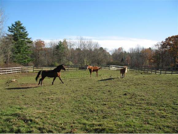 Lot 15-e-1 Nute Road Dover, NH 03820 - Photo 1 of 1