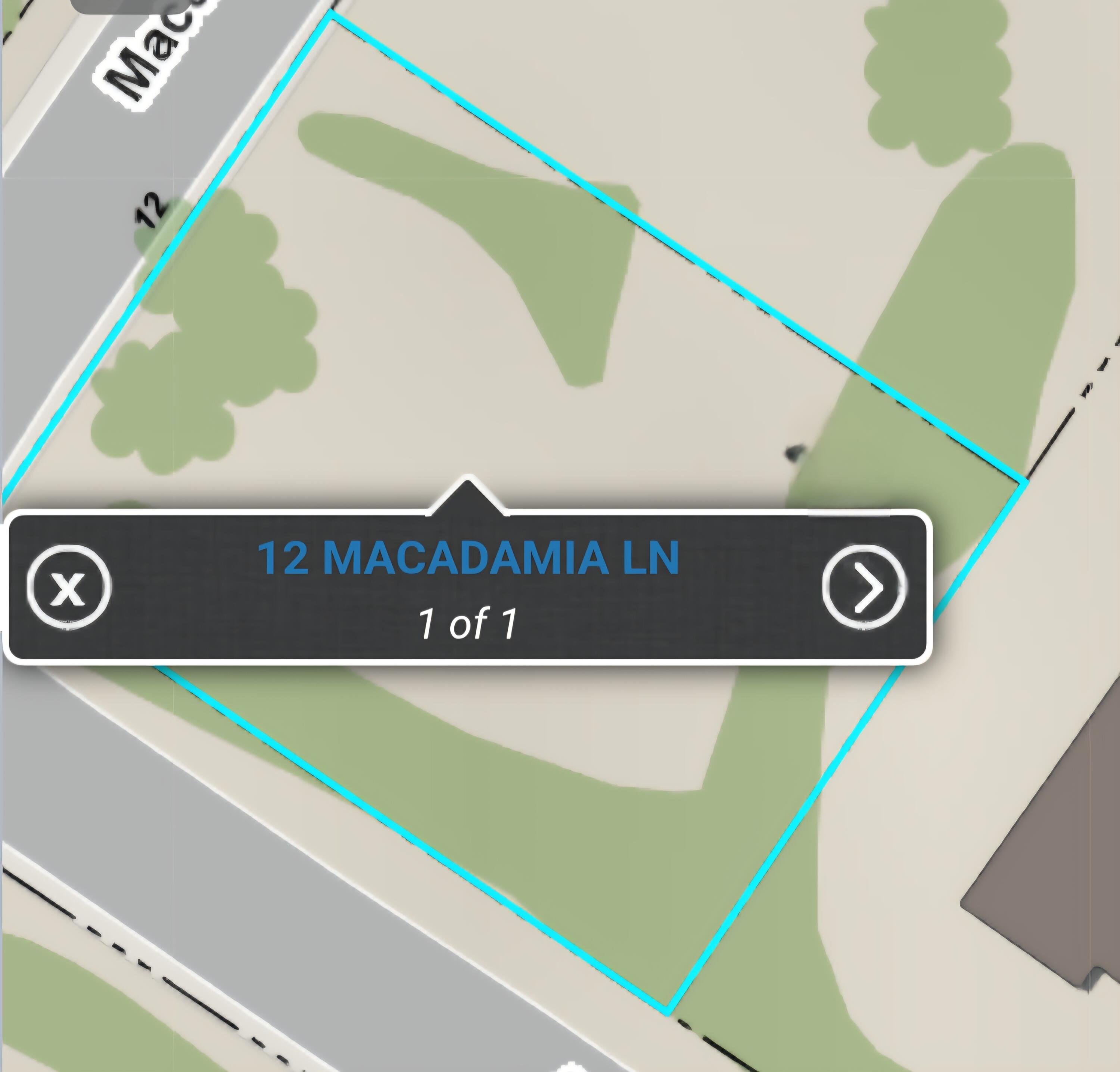 macadamia