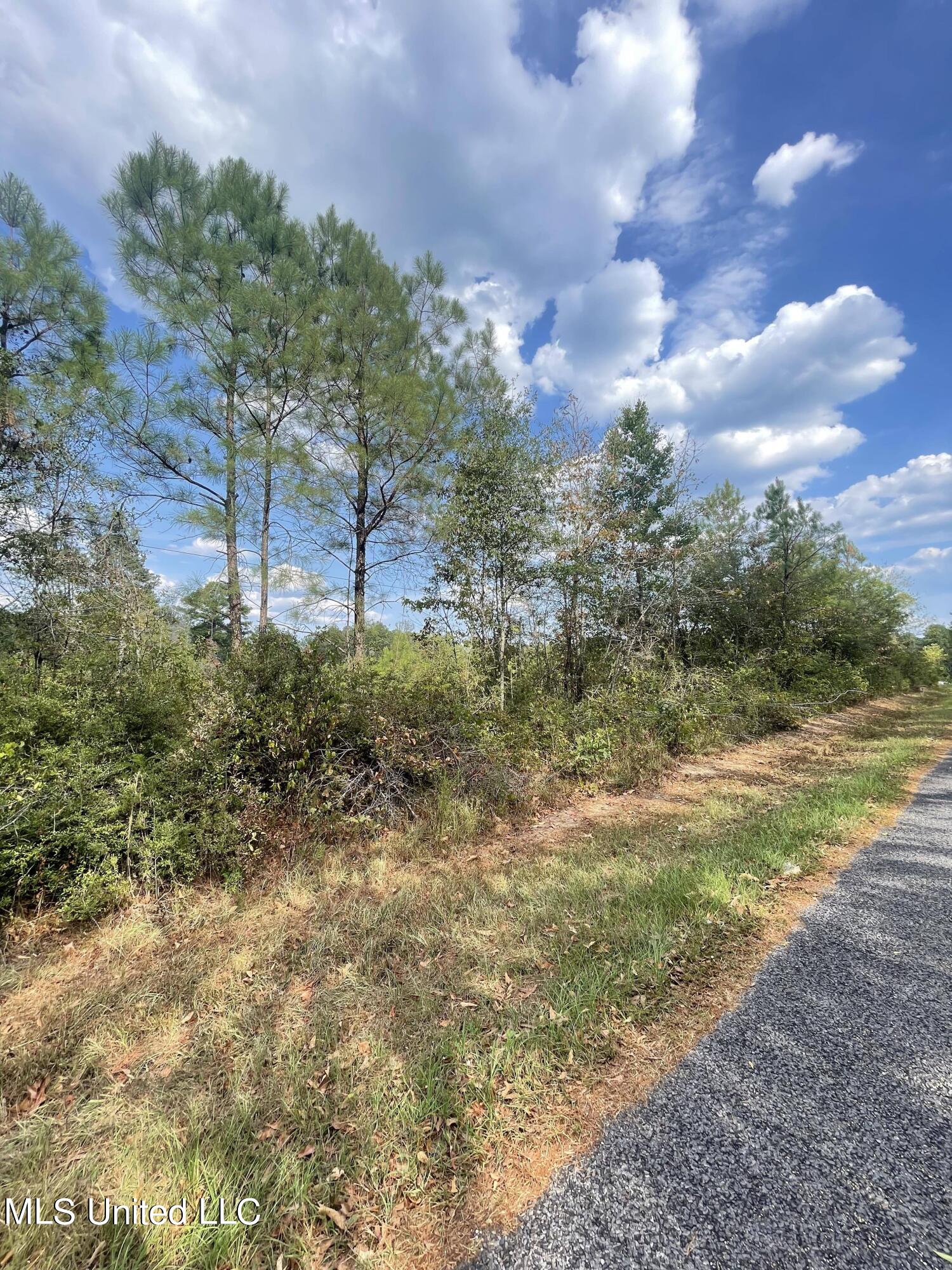 Cephus Williams Road Silver Creek, MS 39663 - Photo 11 of 52 387519672_719922473509015_31238745853663
