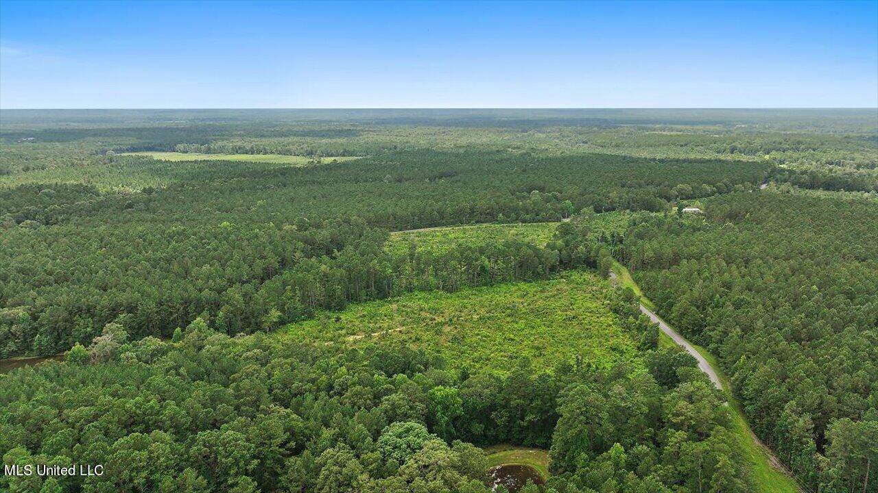 Cephus Williams Road Silver Creek, MS 39663 - Photo 12 of 52 04-Cephus Williams Rd