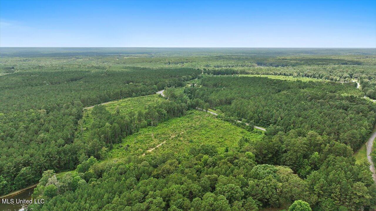 Cephus Williams Road Silver Creek, MS 39663 - Photo 13 of 52 05-Cephus Williams Rd