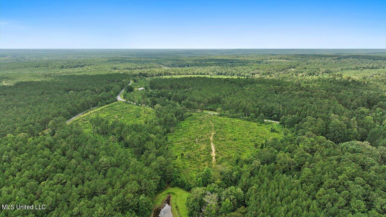 Cephus Williams Road Silver Creek, MS 39663 - Photo 14 of 52 06-Cephus Williams Rd