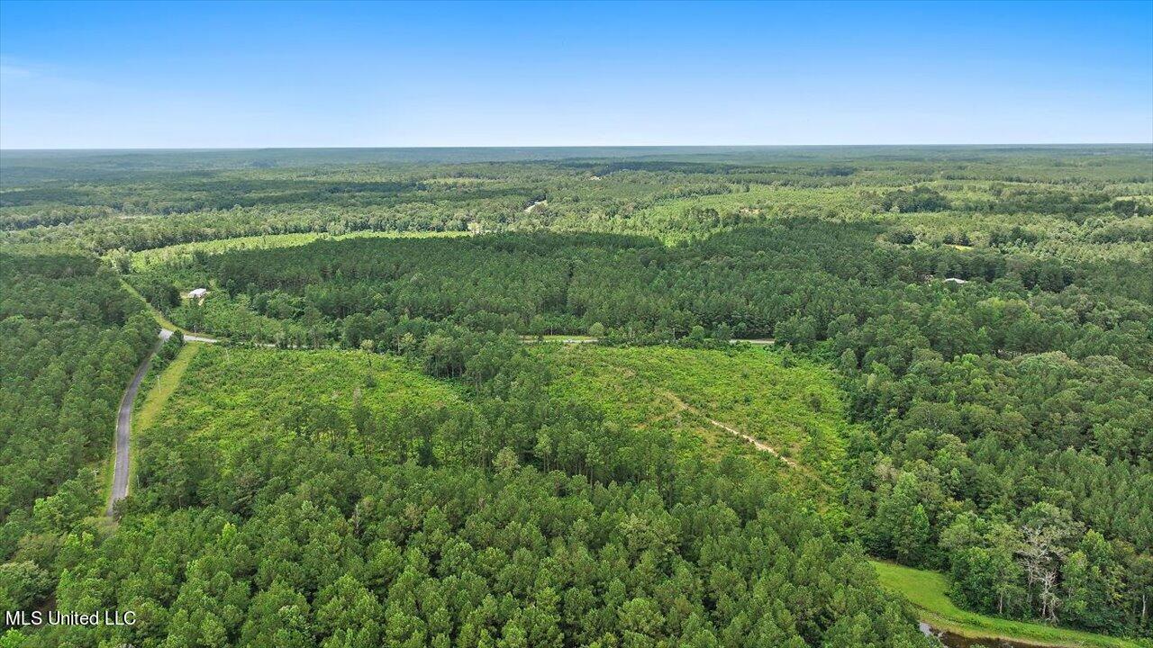 Cephus Williams Road Silver Creek, MS 39663 - Photo 15 of 52 07-Cephus Williams Rd
