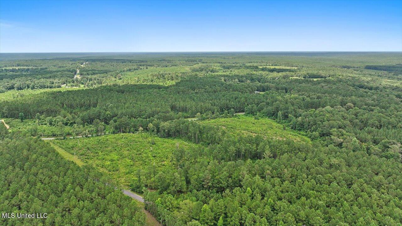Cephus Williams Road Silver Creek, MS 39663 - Photo 16 of 52 08-Cephus Williams Rd