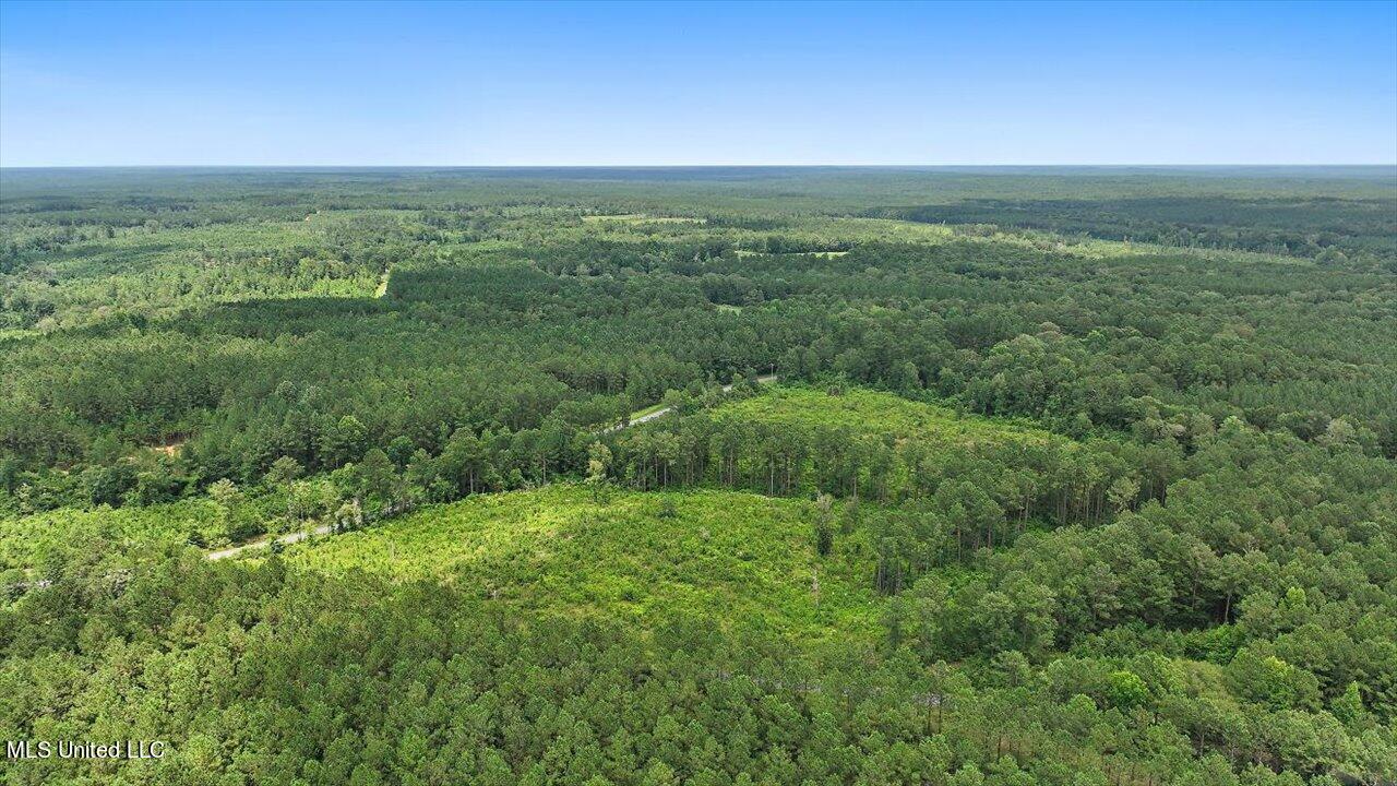 Cephus Williams Road Silver Creek, MS 39663 - Photo 19 of 52 09-Cephus Williams Rd