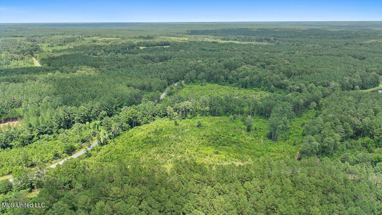 Cephus Williams Road Silver Creek, MS 39663 - Photo 20 of 52 10-Cephus Williams Rd